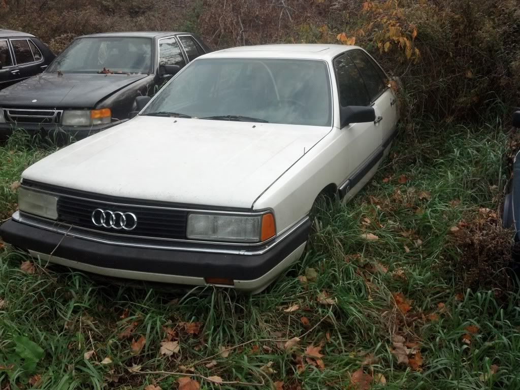 1986 Audi 5000 Turbo Quattro In Ct Motorgeek Com