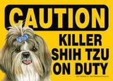 Killer Shih Tzu Pictures, Images and Photos