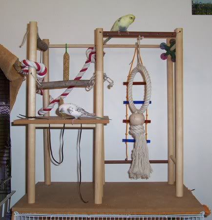 Playgym1.jpg