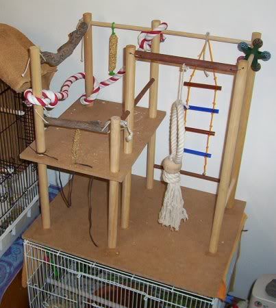 Playgym2.jpg