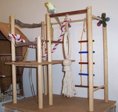 Playgym3.jpg
