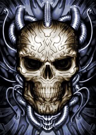 skull.jpg cool skulls image by MUWarrior78