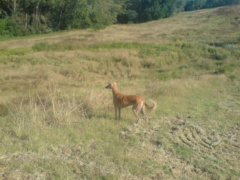 DSC00815.jpg