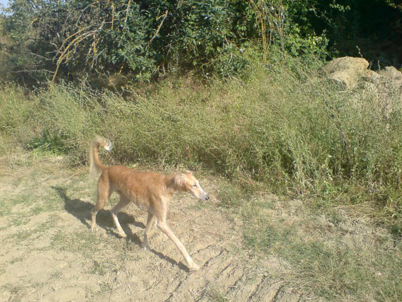 DSC00823.jpg