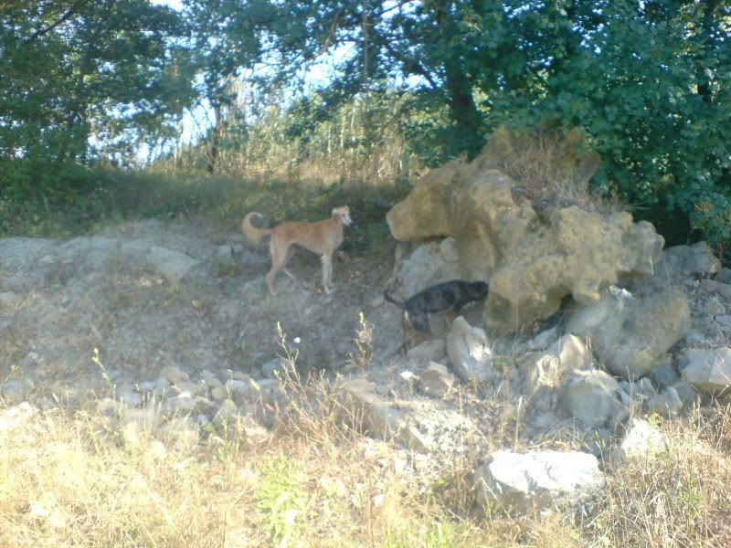 DSC00825.jpg