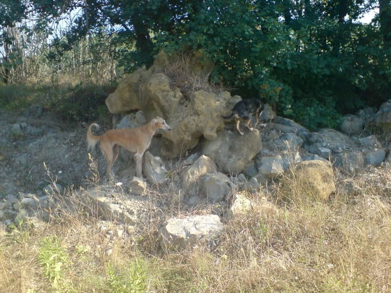 DSC00826.jpg