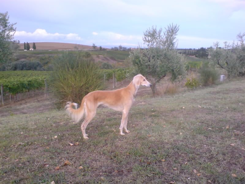 DSC01126.jpg