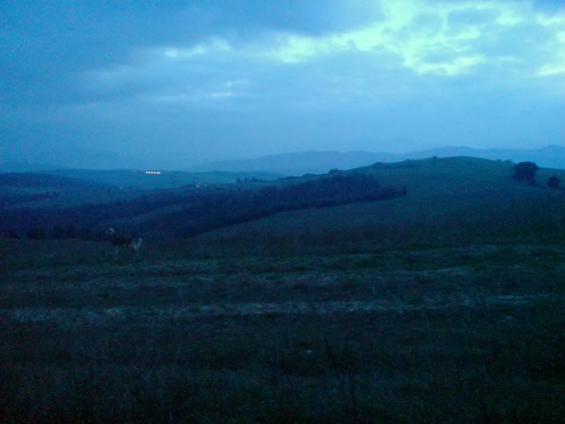 DSC01639.jpg