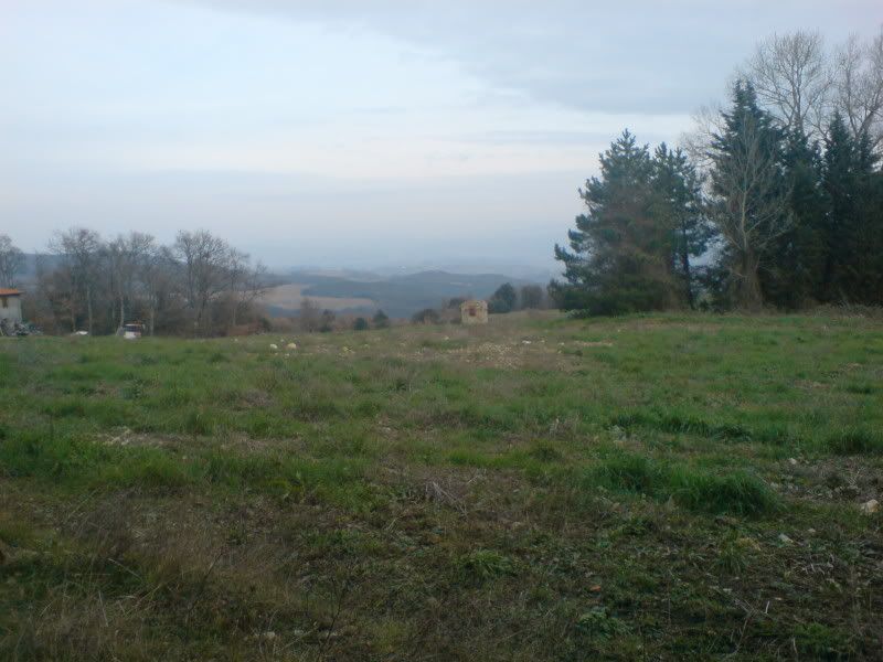 DSC01640.jpg