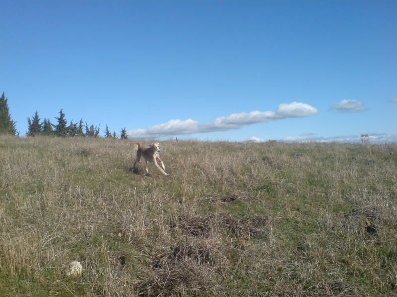 DSC01678-1.jpg