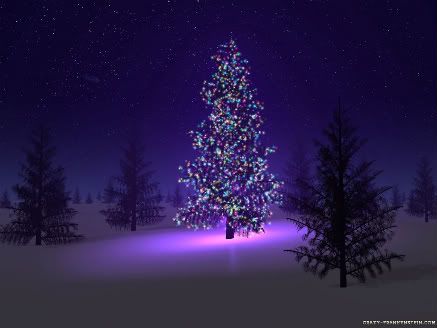 christmas tree Pictures, Images and Photos