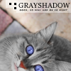 Grayshadow Avatar
