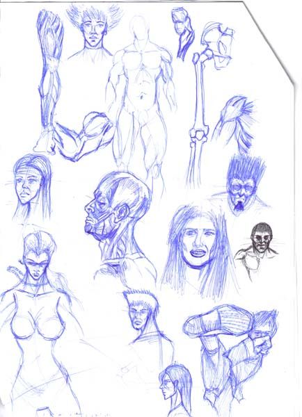 *********** My Sketchbook attempt ************* *********** My Sketchbook attempt *************