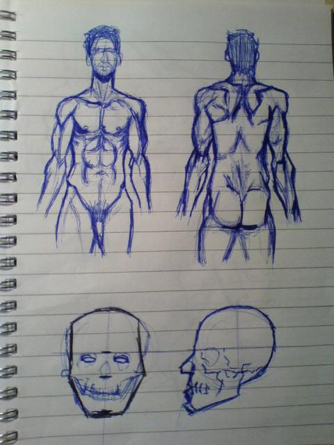 *********** My Sketchbook attempt ************* *********** My Sketchbook attempt *************