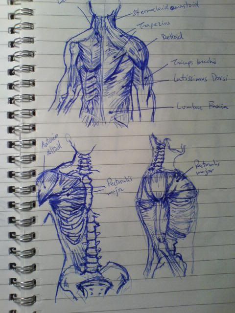 *********** My Sketchbook attempt ************* *********** My Sketchbook attempt *************