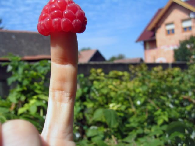 Photo Sharing and Video Hosting at Photobucket