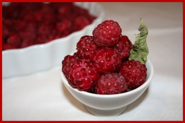 Photo Sharing and Video Hosting at Photobucket