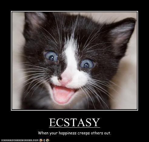 Inspiration Pictures Funny on Motivational Posters    Funny Pictures Kitten Is Too Happy Jpg Picture