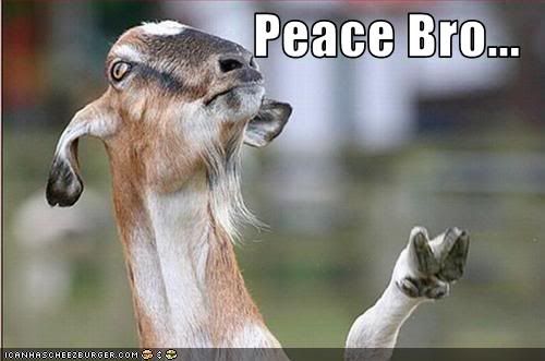 funny-pictures-goat-gives-peace-sig.jpg