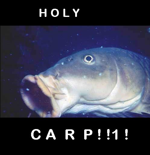 Holycarp.jpg