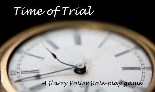 Time of Trial Banner made by Kacey