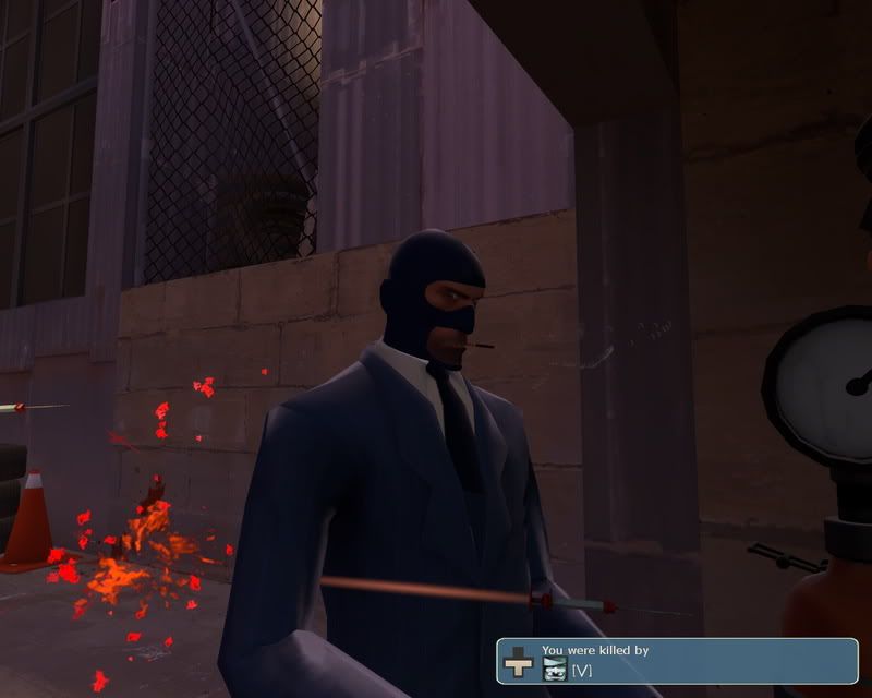 vislookinggood.jpg