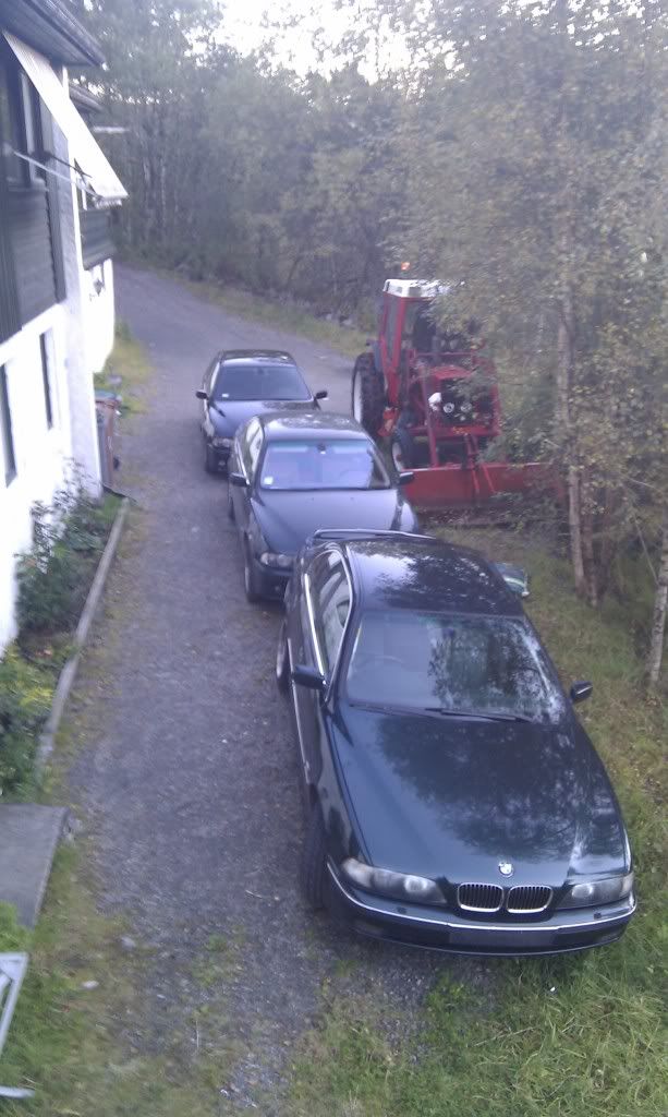 IMAG0019.jpg