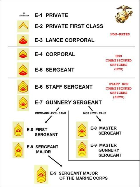 Enlisted Mos Structure Chart