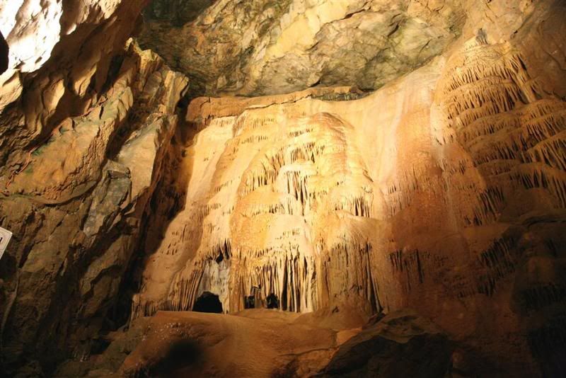 IMAGE: http://i27.photobucket.com/albums/c170/tj289/ChedderTrip016Large.jpg