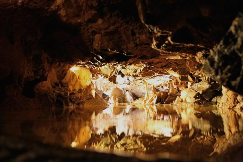 IMAGE: http://i27.photobucket.com/albums/c170/tj289/ChedderTrip019Large.jpg