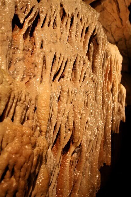 IMAGE: http://i27.photobucket.com/albums/c170/tj289/ChedderTrip034Large.jpg