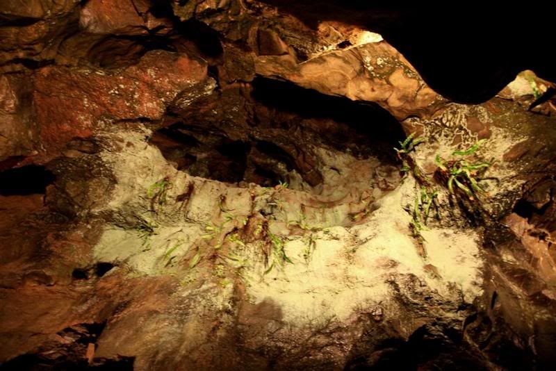 IMAGE: http://i27.photobucket.com/albums/c170/tj289/ChedderTrip036Large.jpg