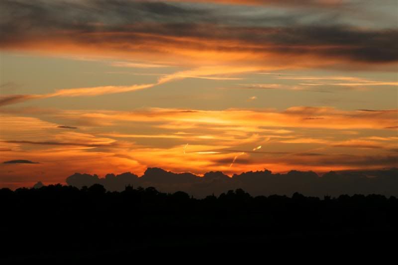 IMAGE: http://i27.photobucket.com/albums/c170/tj289/IMG_0905Medium.jpg