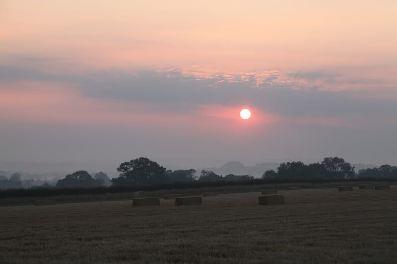 IMAGE: http://i27.photobucket.com/albums/c170/tj289/IMG_7032.jpg