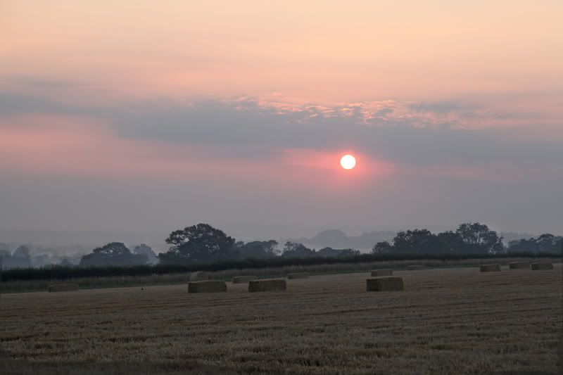 IMAGE: http://i27.photobucket.com/albums/c170/tj289/Scenic013copy.jpg