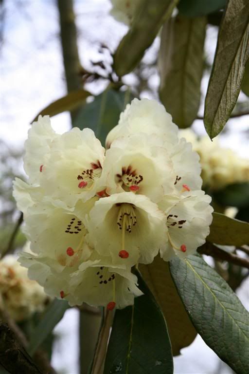 IMAGE: http://i27.photobucket.com/albums/c170/tj289/Stourhead/Stourhead007Large.jpg