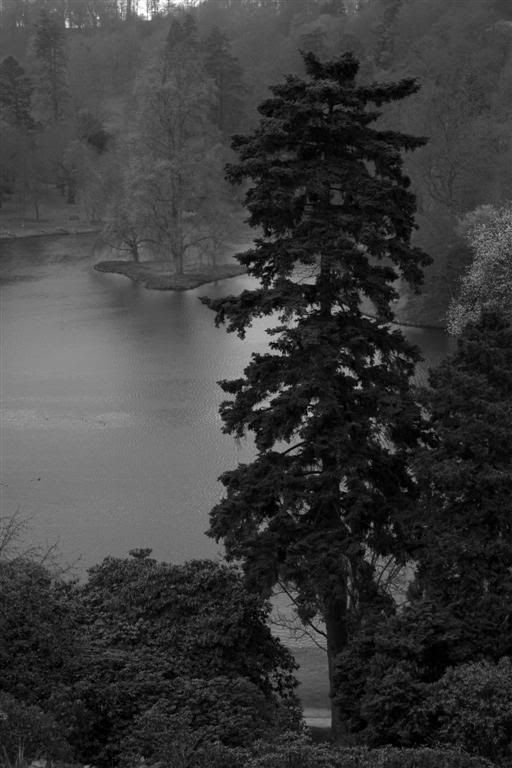IMAGE: http://i27.photobucket.com/albums/c170/tj289/Stourhead/Stourhead079Large.jpg