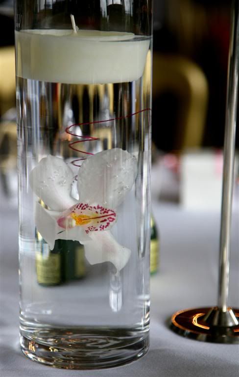 IMAGE: http://i27.photobucket.com/albums/c170/tj289/Wedding%20at%20Wellington%20Barn/DaveKellyWedding106Large.jpg