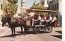 Carriage Rides downtown