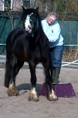 Afbeelding