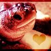animals_turtle_01.jpg Animals - Turtle - 01 image by rsiasta_icons