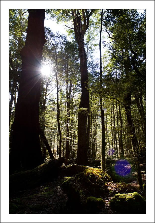 IMAGE: http://i27.photobucket.com/albums/c172/robdickinson/flare1.jpg