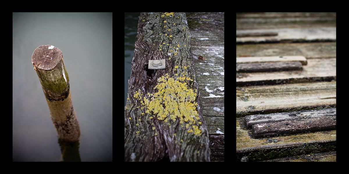 IMAGE: http://i27.photobucket.com/albums/c172/robdickinson/tripach.jpg