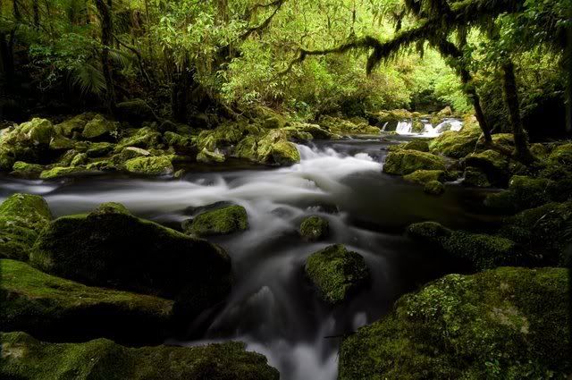 IMAGE: http://i27.photobucket.com/albums/c172/robdickinson/workcomp/RiwakaResurgence.jpg