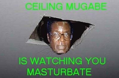 ceiling mugabe Pictures, Images and Photos