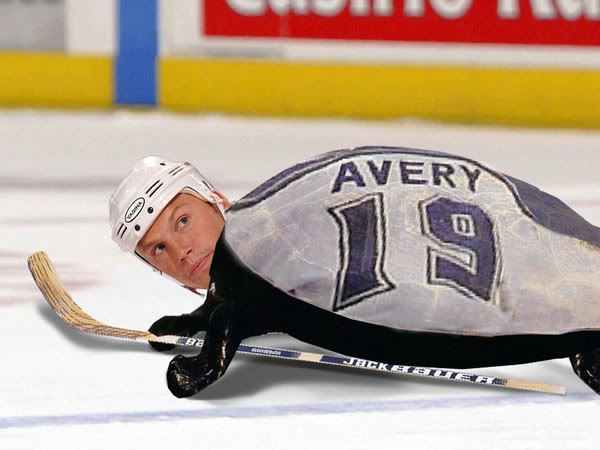 ducks_avery_turtle_3.jpg