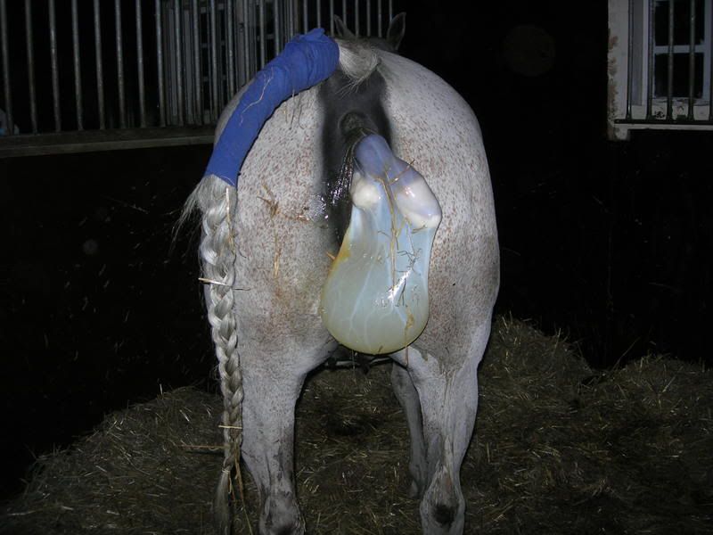 DSCN3210.jpg