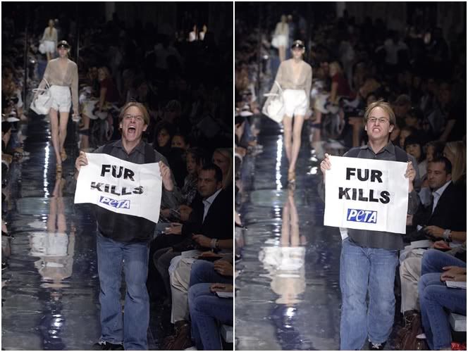 peta1.jpg