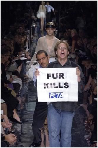 peta2.jpg
