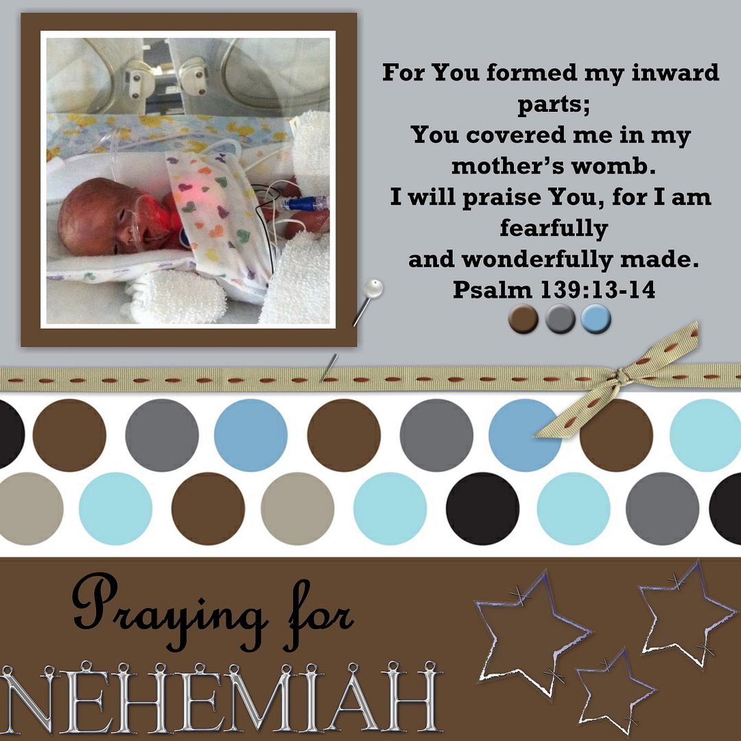 nehemiah3_02.jpg?t=1300114528
